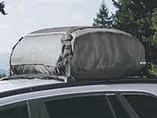 Roof Cargo Carrier Vinyl X158149