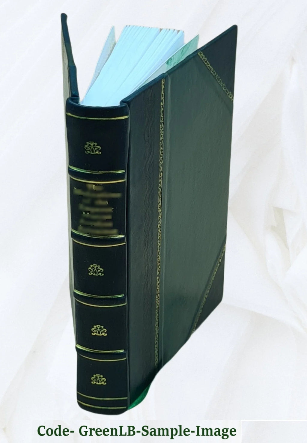 My colonial service in British Guiana, St. Lucia, Trinidad, Fiji, Australia, Newfoundland, and Hong Kong, with interludes Volume 2 1903 [Leather Bound] D753785