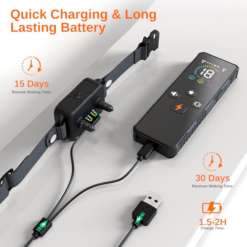 Electric Dog Training Collar with Remote, IPX7 Waterproof V304