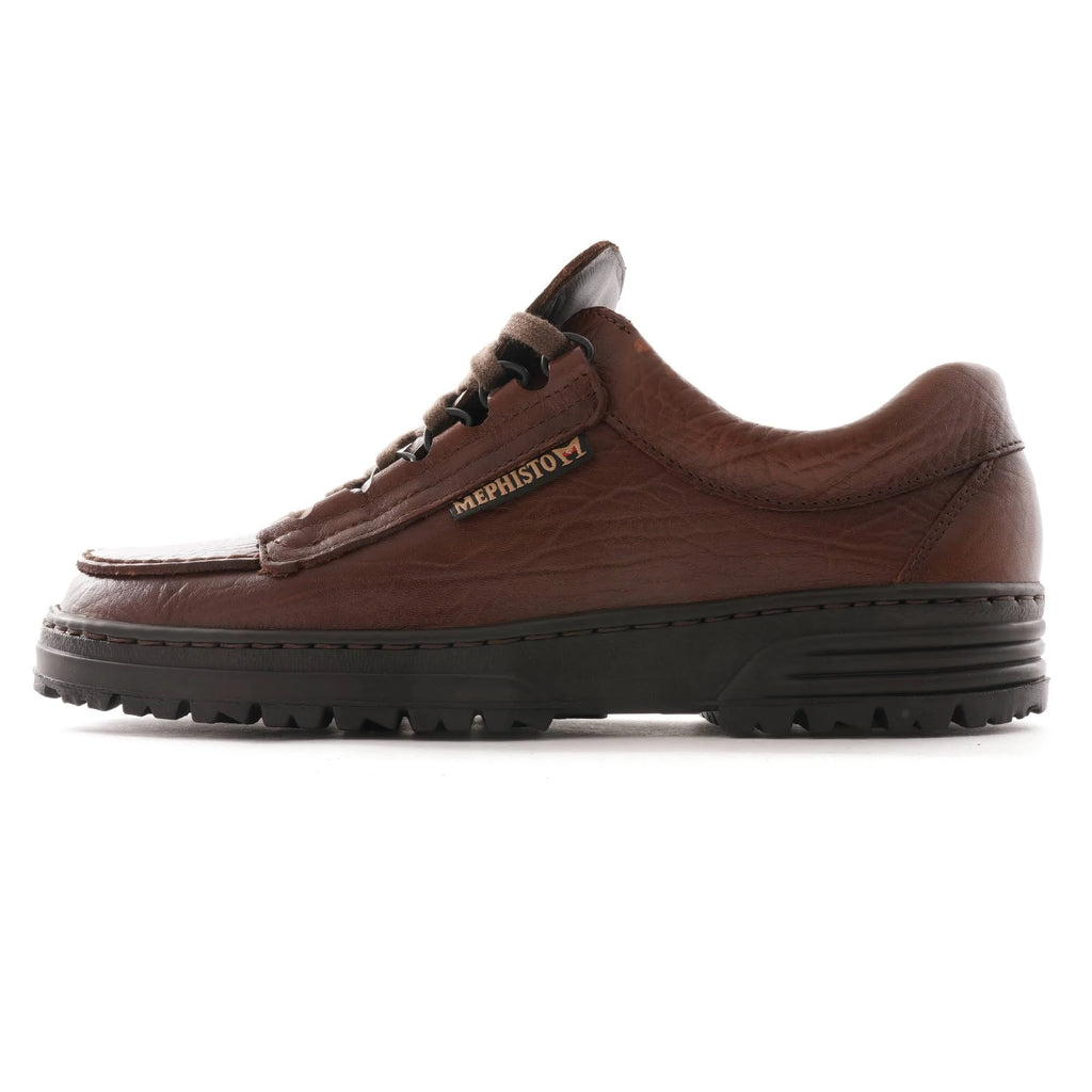 Brown Cruiser T113713