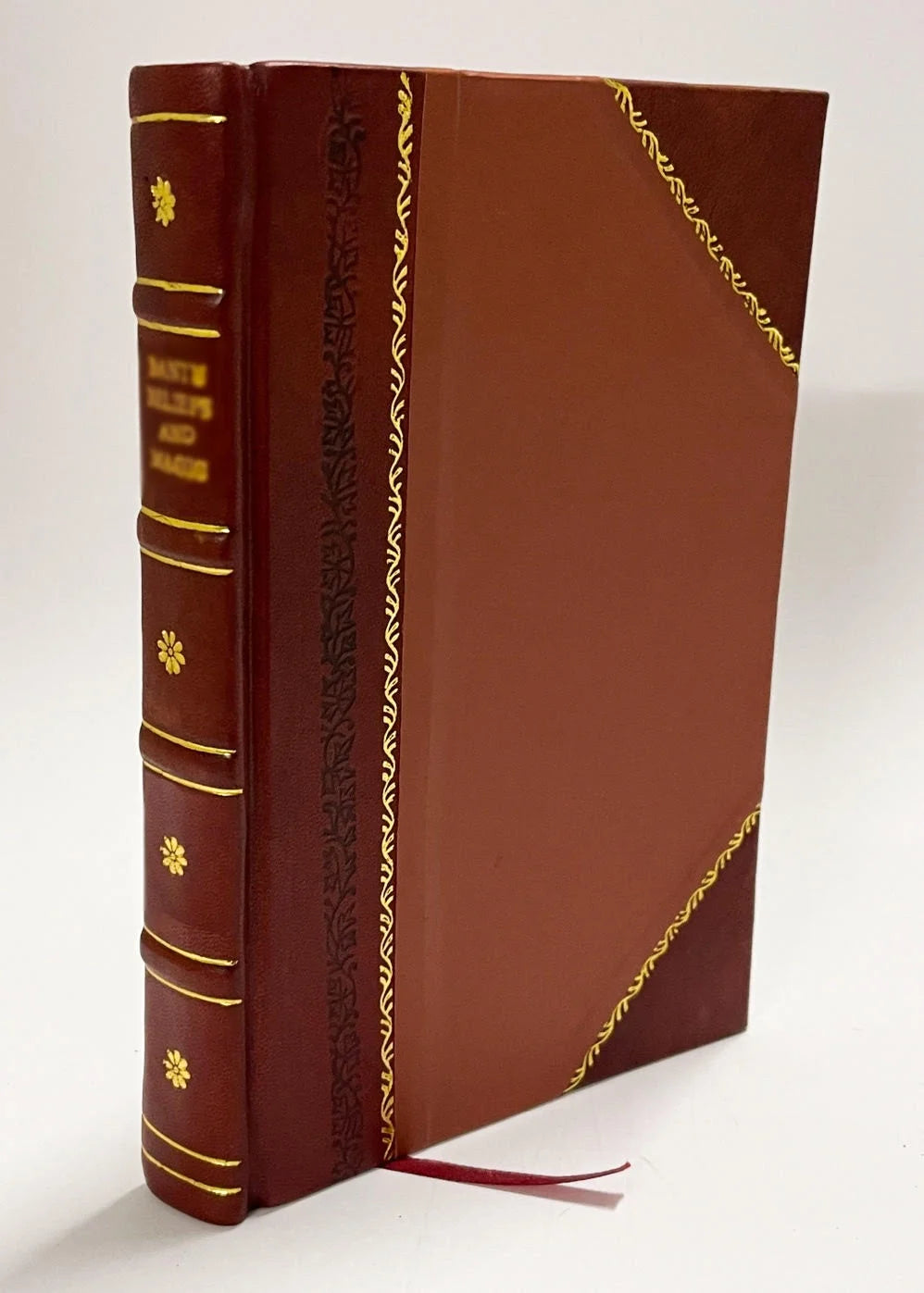 Leather Bound Book Z551
