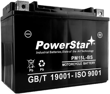 Pack of 2 YTX15L-BS ATV Battery Y6655