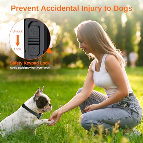 Electric Dog Training Collar with Remote, IPX7 Waterproof V304