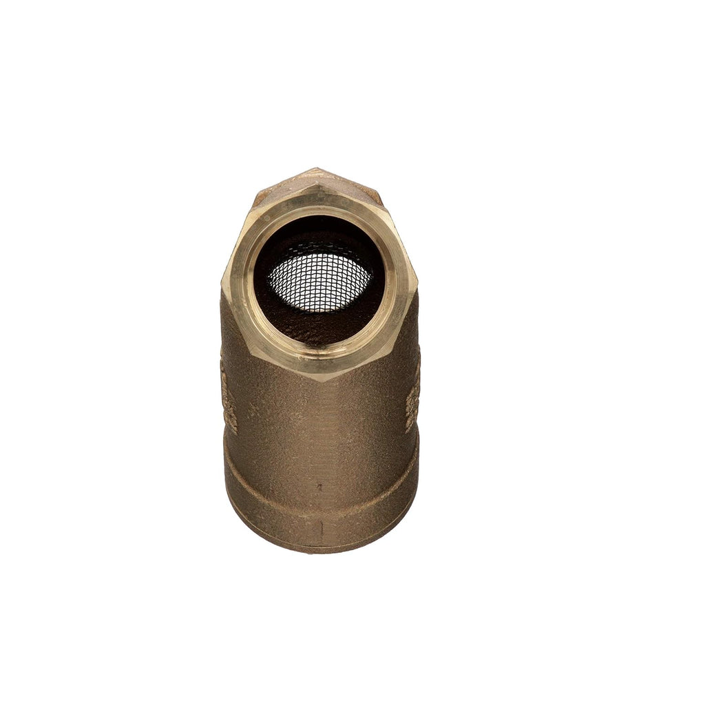 1" Pack of 2 Lead-Free Mesh Screen Strainer B190650