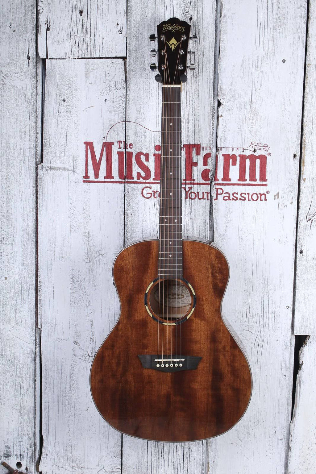Woodline Orchestra Guitar O401595