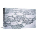 12 x 18 in. Sea Ice Art Print D476822