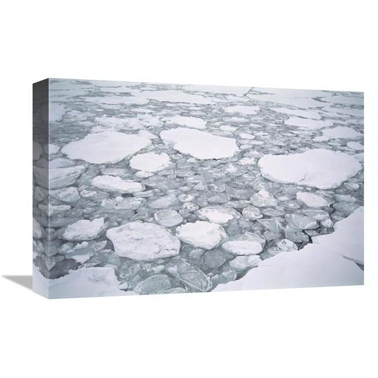 12 x 18 in. Sea Ice Art Print D476822