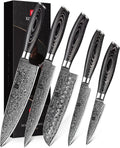 5PC Damascus Steel Kitchen Knife Set with Pakkawood Q255