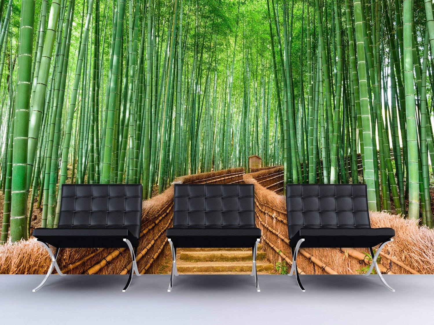 9ft H X 4ft W Wall Mural J2653