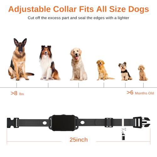 Electric Dog Training Collar with Remote, IPX7 Waterproof V304