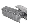 16 Gauge Wide Crown Staple Y9013