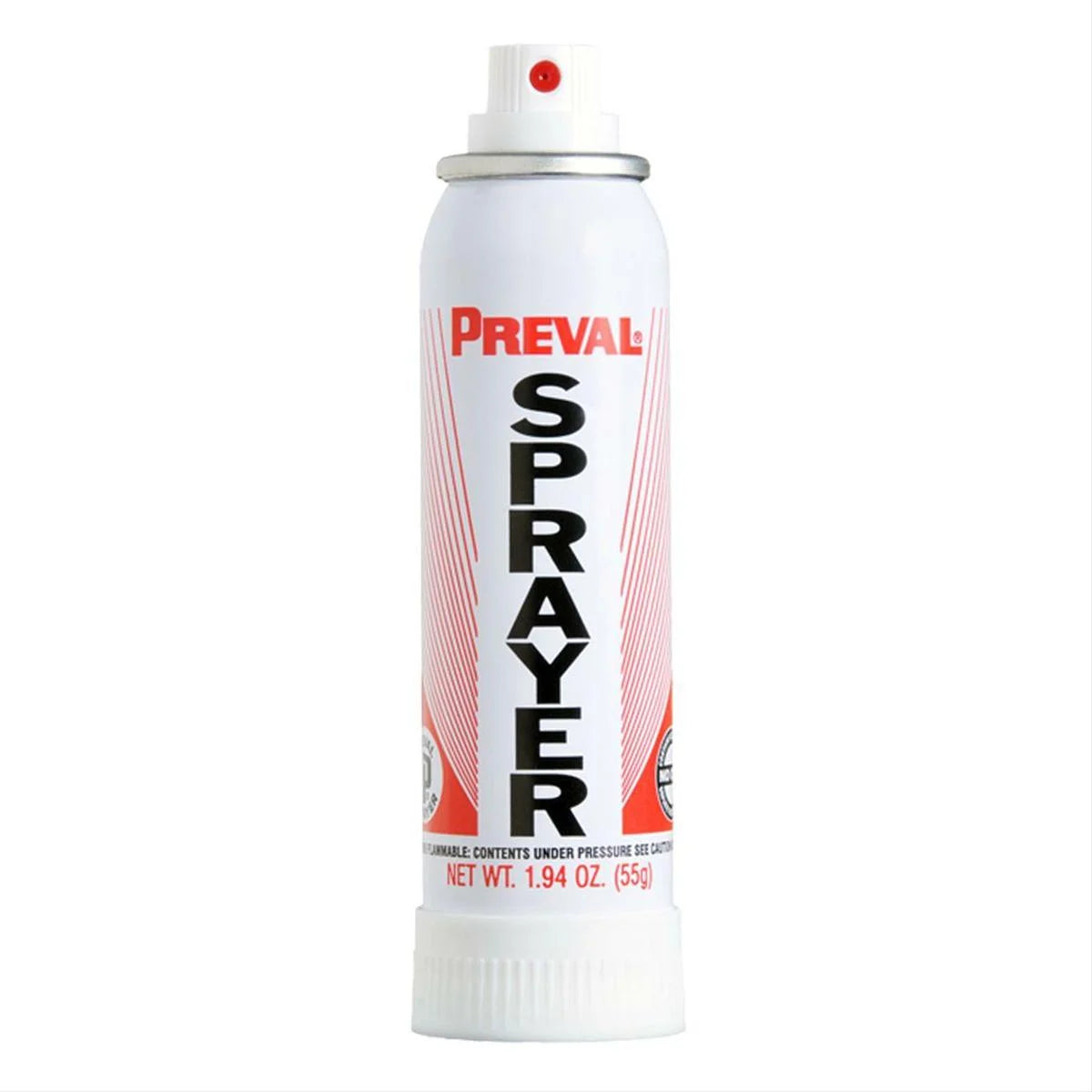 Touch Up Basecoat Spray Paint R542