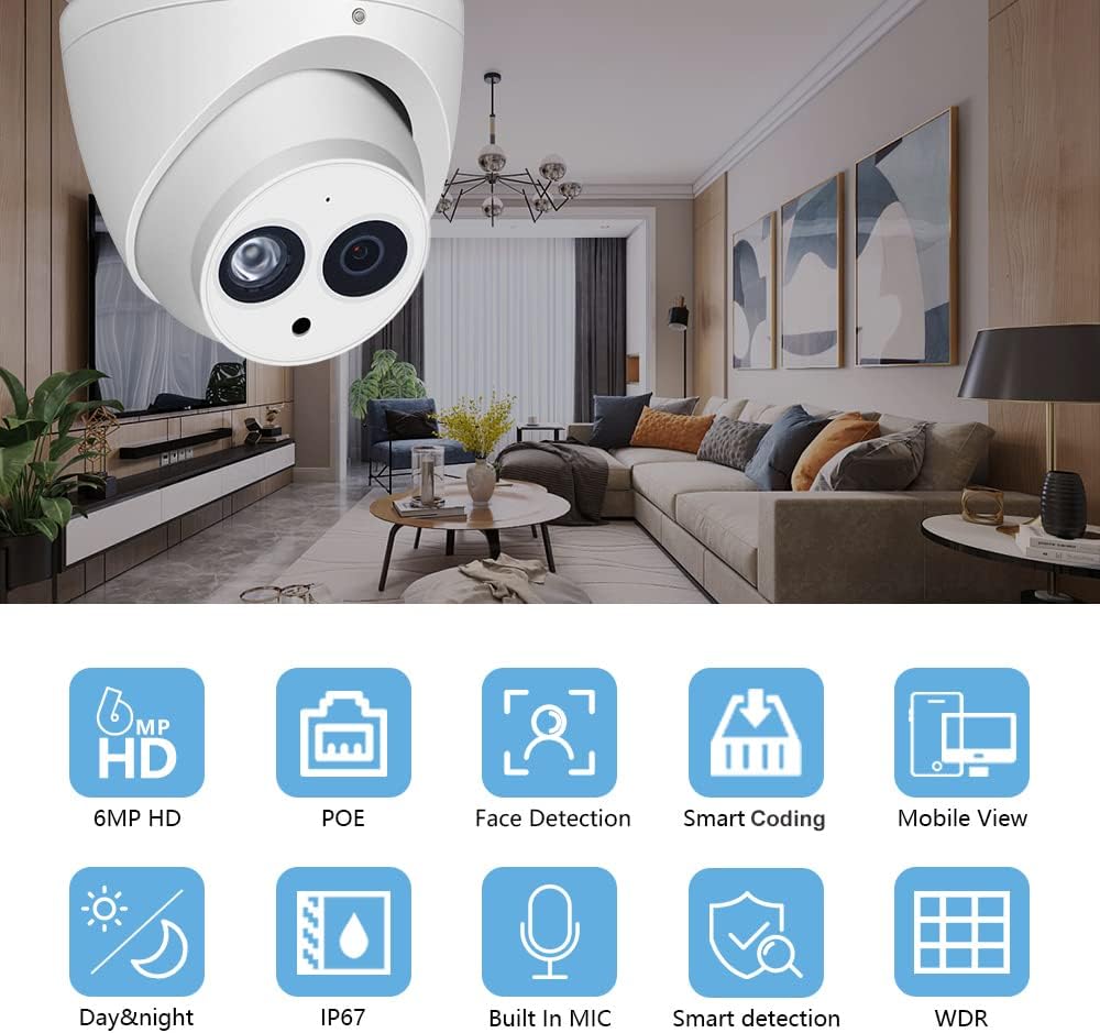 2 Pack POE IP Eyeball Dome Camera with Built-in MIC, IP67 D3286