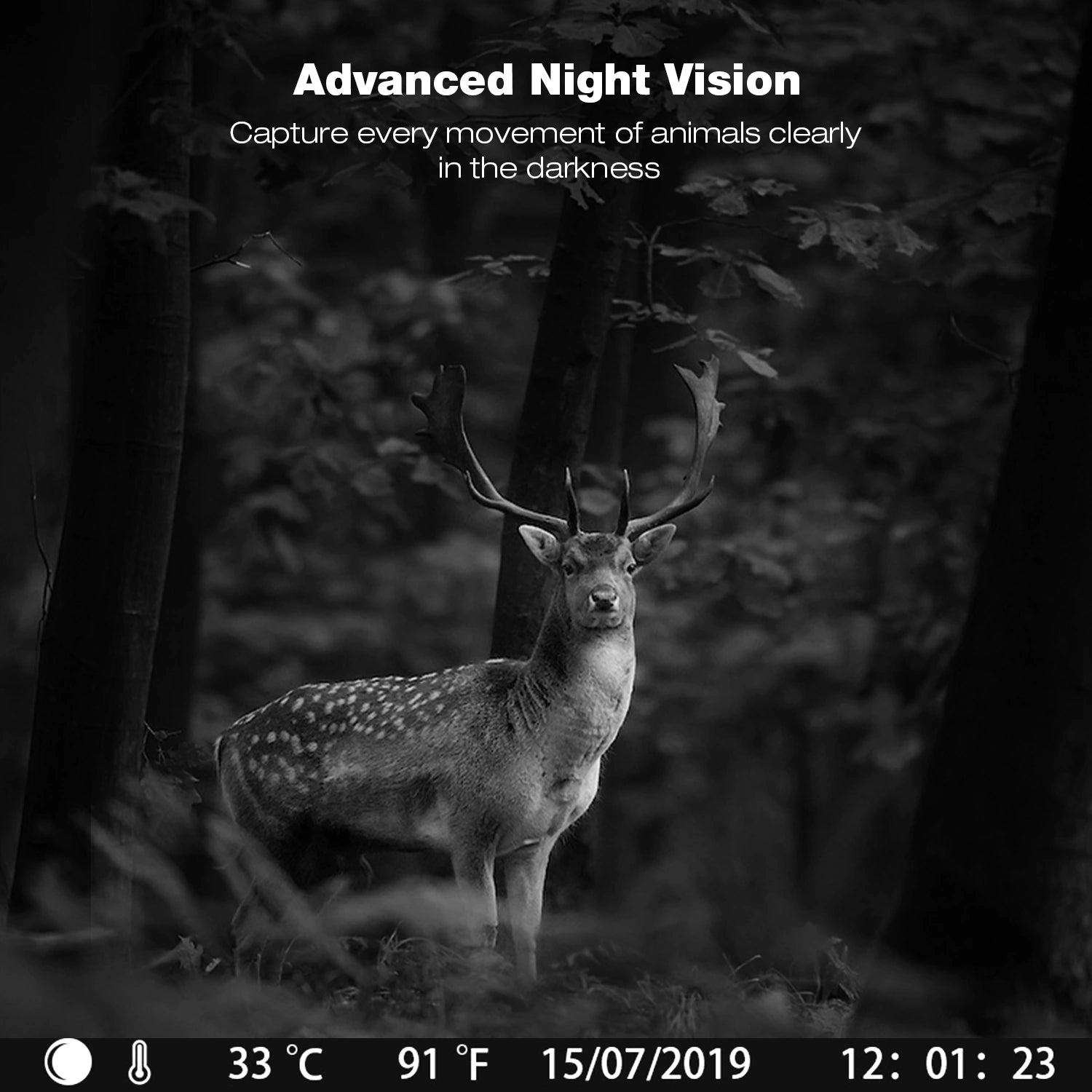 1080P Waterproof Game Camera with Night Vision and SD Card Z1624