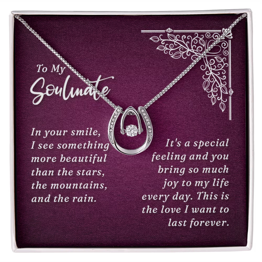 Lucky Horseshoe Necklace Message Card 14k CZ Crystals Y4342