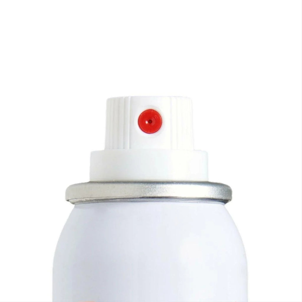 Touch Up Basecoat Spray Paint R542