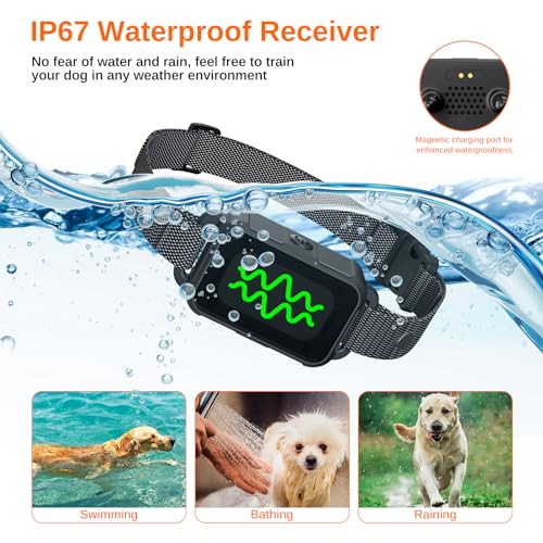 Electric Dog Training Collar with Remote, IPX7 Waterproof V304