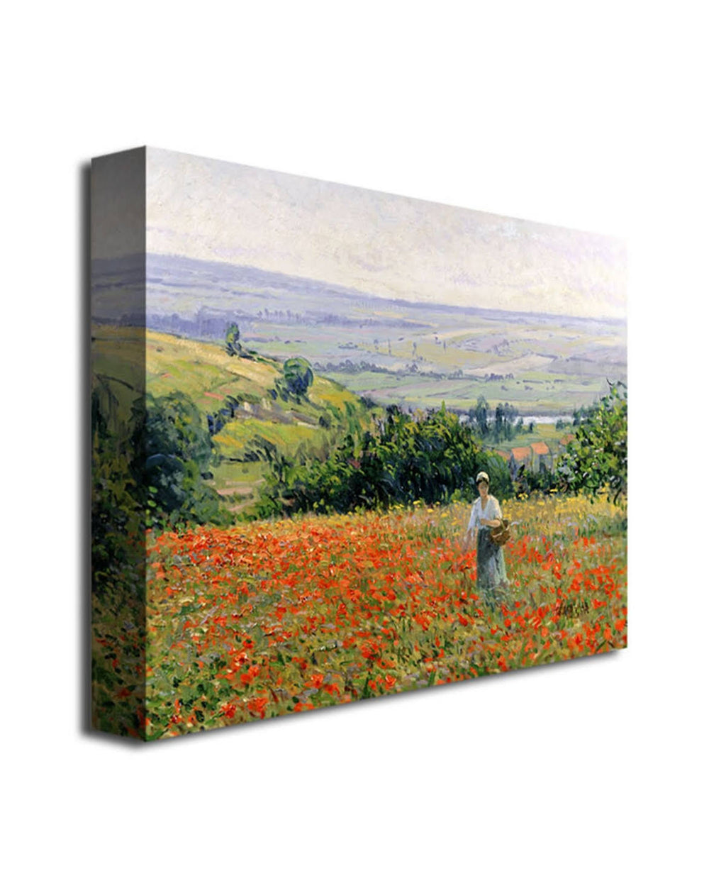 Canvas Art D1895