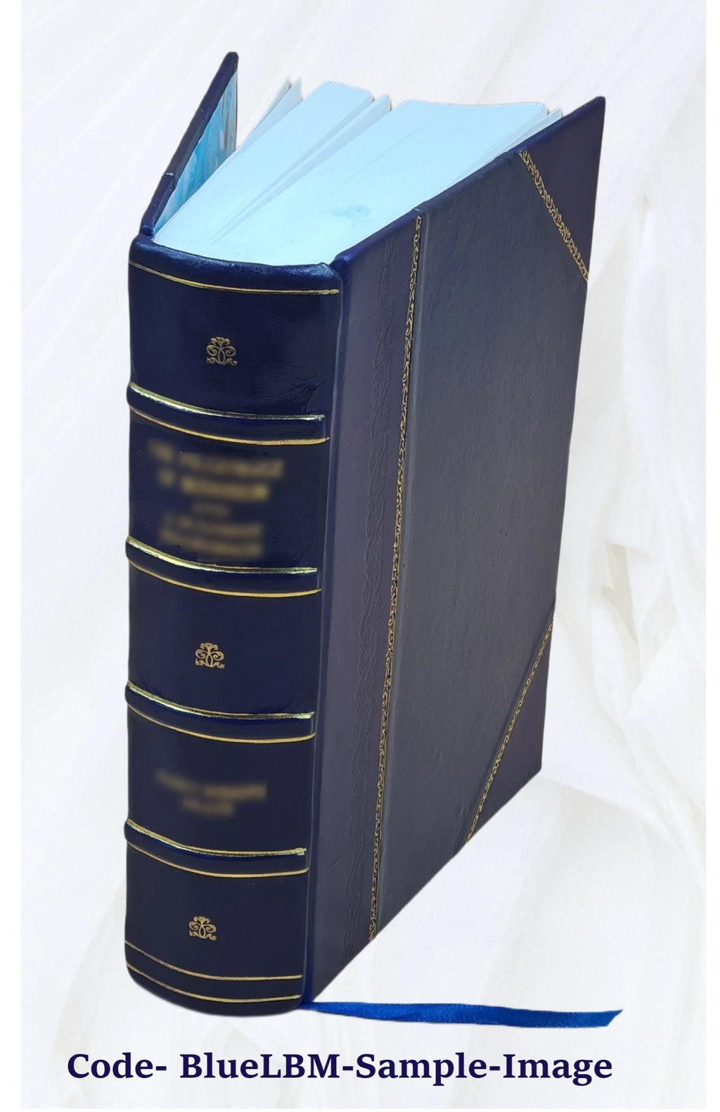 Leather Bound Book O85583