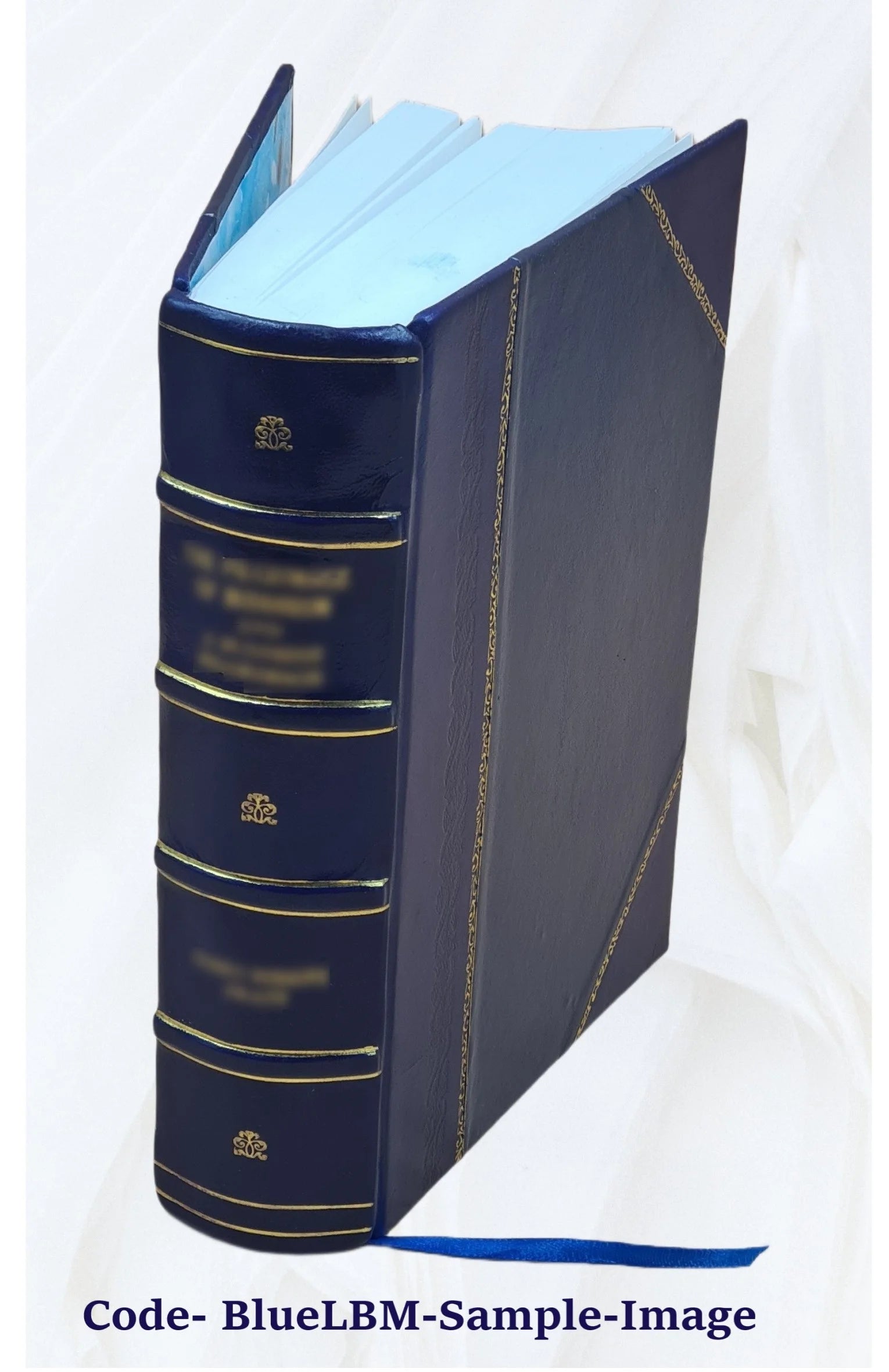 Leather Bound Book O85583