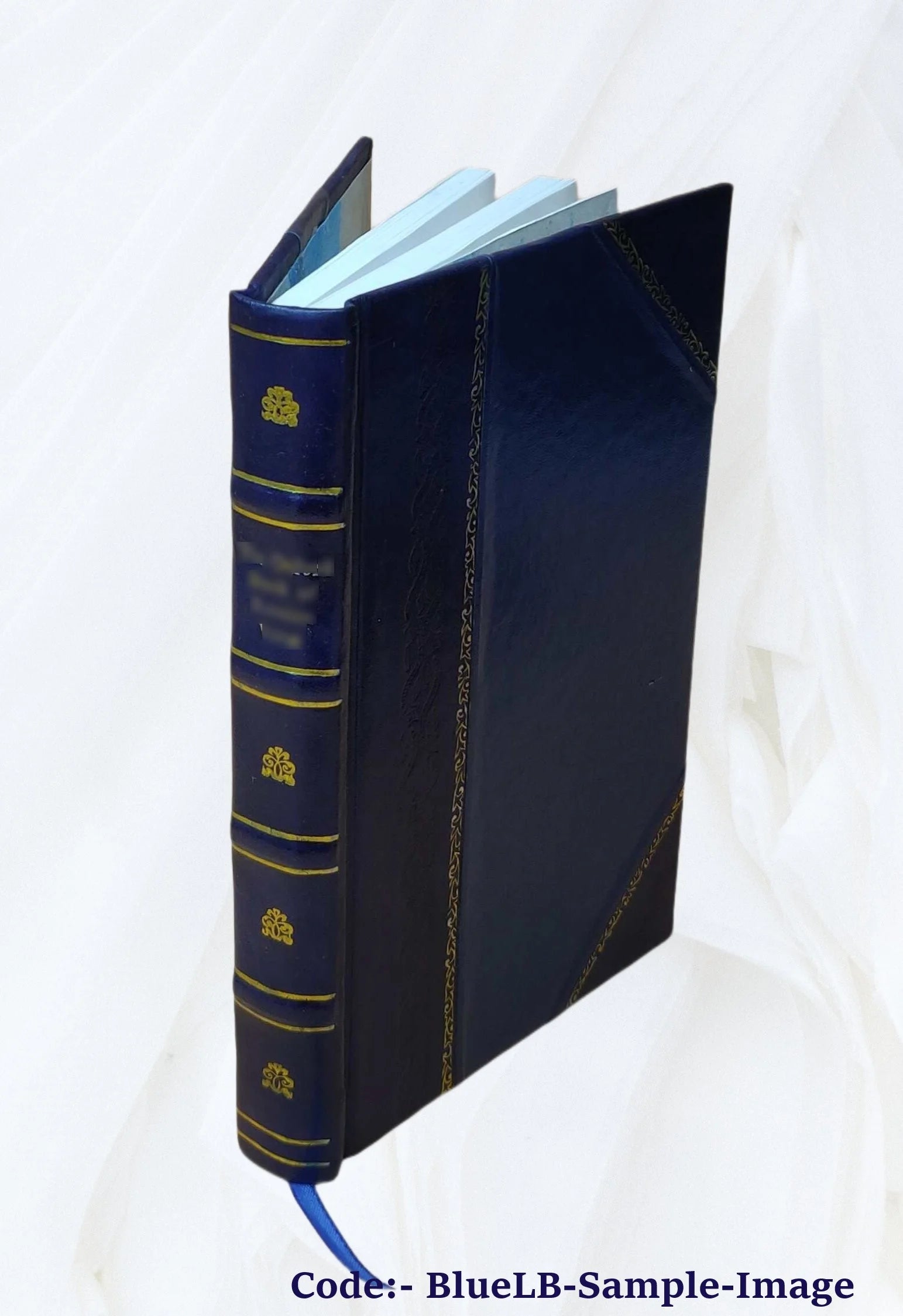Leather Bound Book T63895
