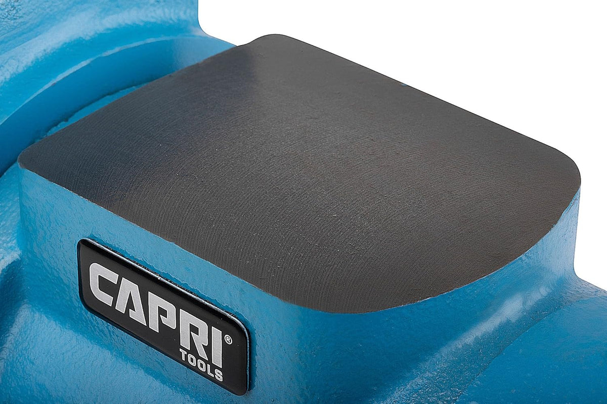 6 Inch Rotating Base Bench Vise A502067