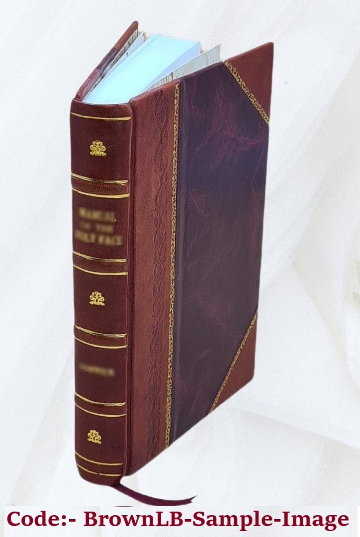My colonial service in British Guiana, St. Lucia, Trinidad, Fiji, Australia, Newfoundland, and Hong Kong, with interludes Volume 2 1903 [Leather Bound] D753785