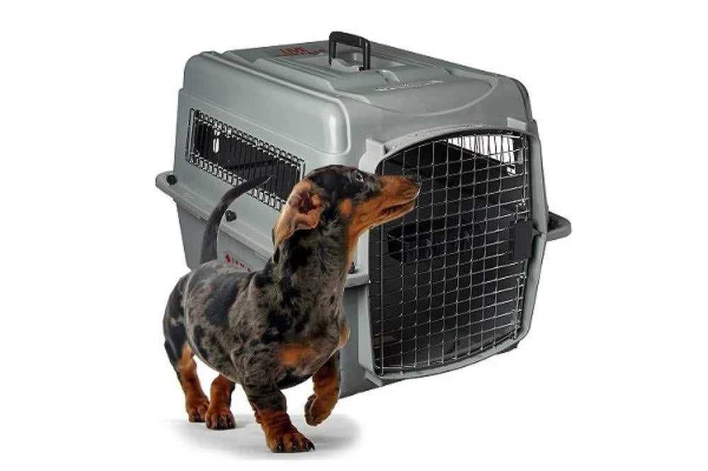 Pet Kennel Pet Carrier B611