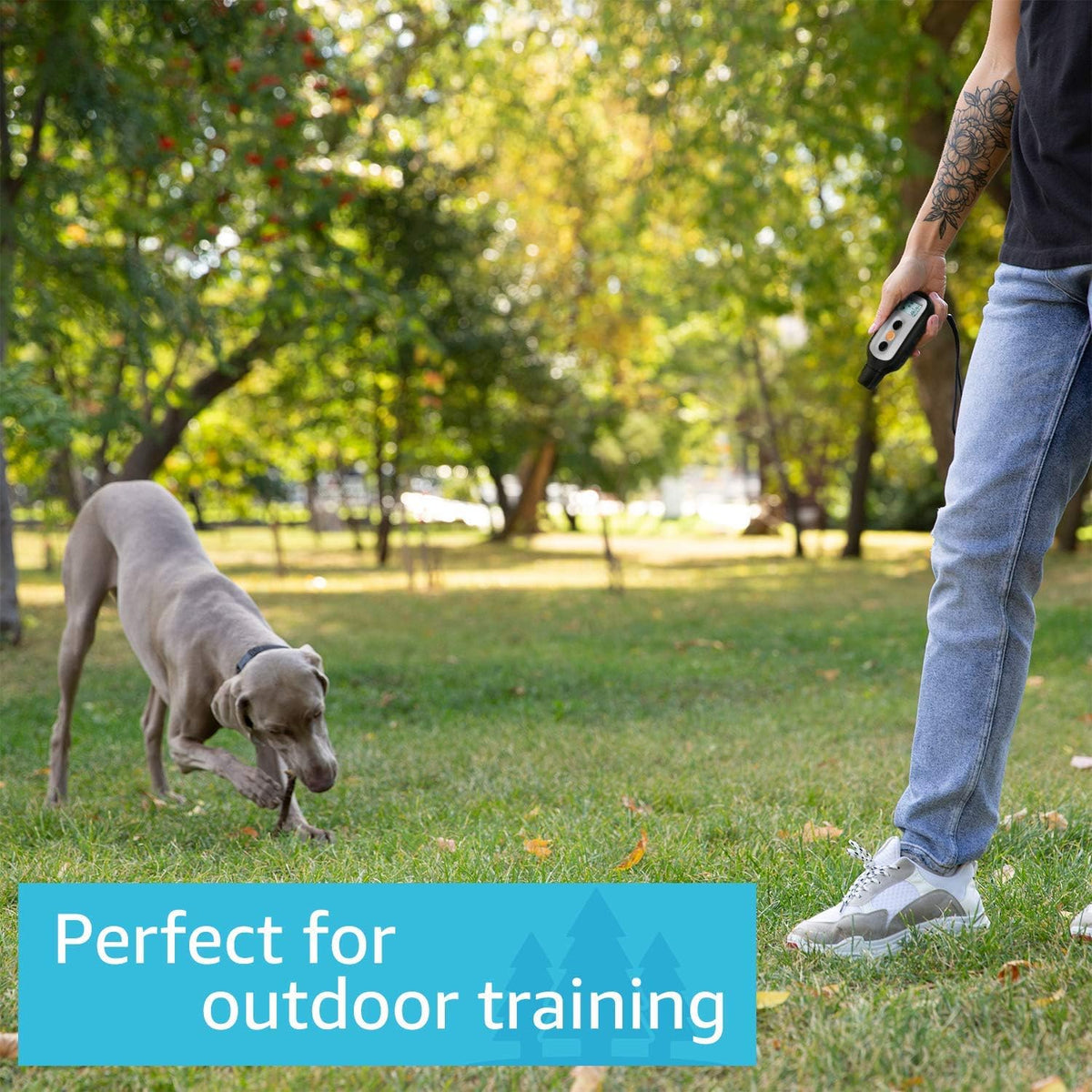 3 Dog Remote Training Collar with Vibration and Beep E838