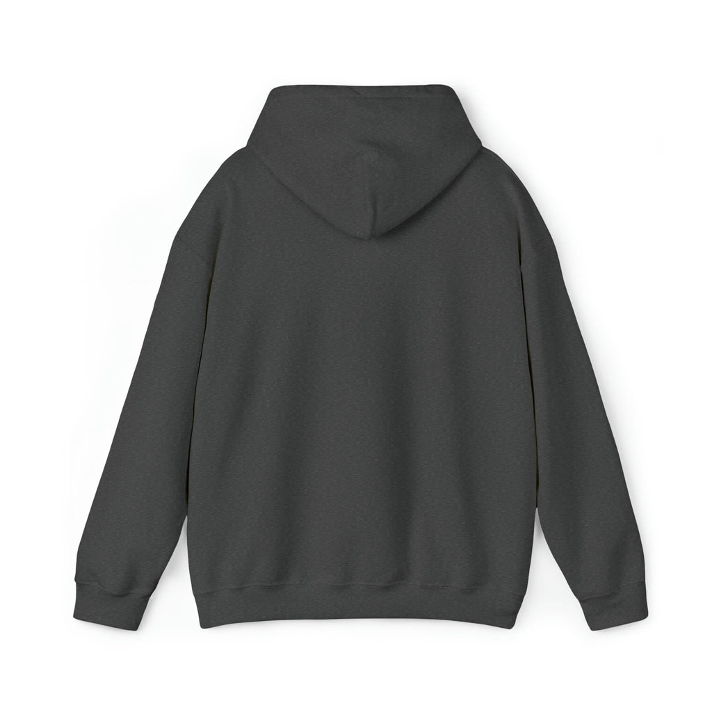 Snorkel Graphic Hoodie Sweatshirt A981829