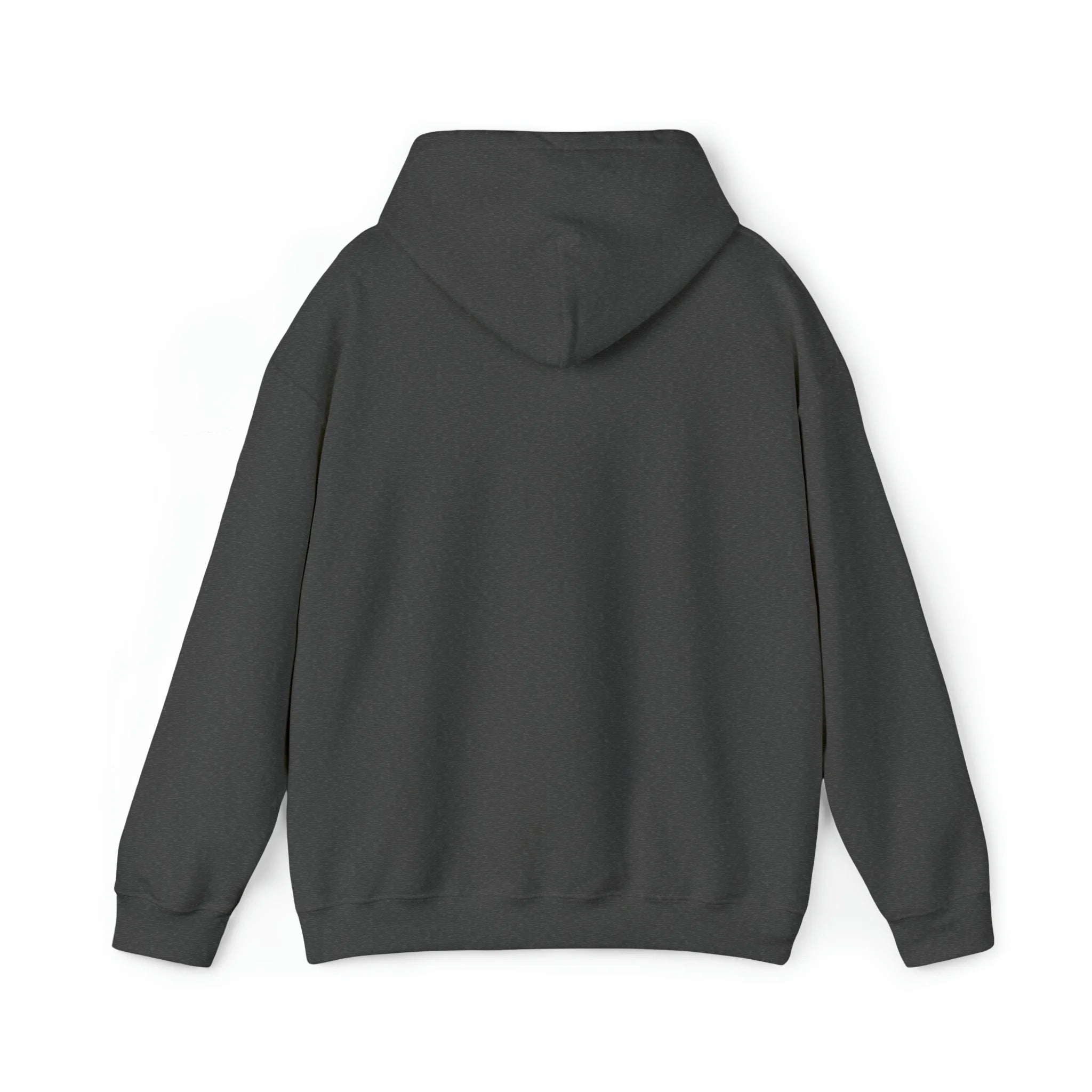 Snorkel Graphic Hoodie Sweatshirt A981829