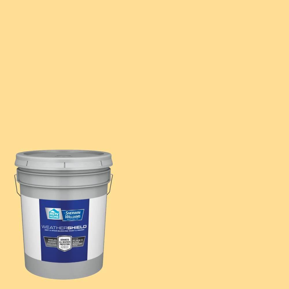 Exterior Paint (5-Gallon) B262120