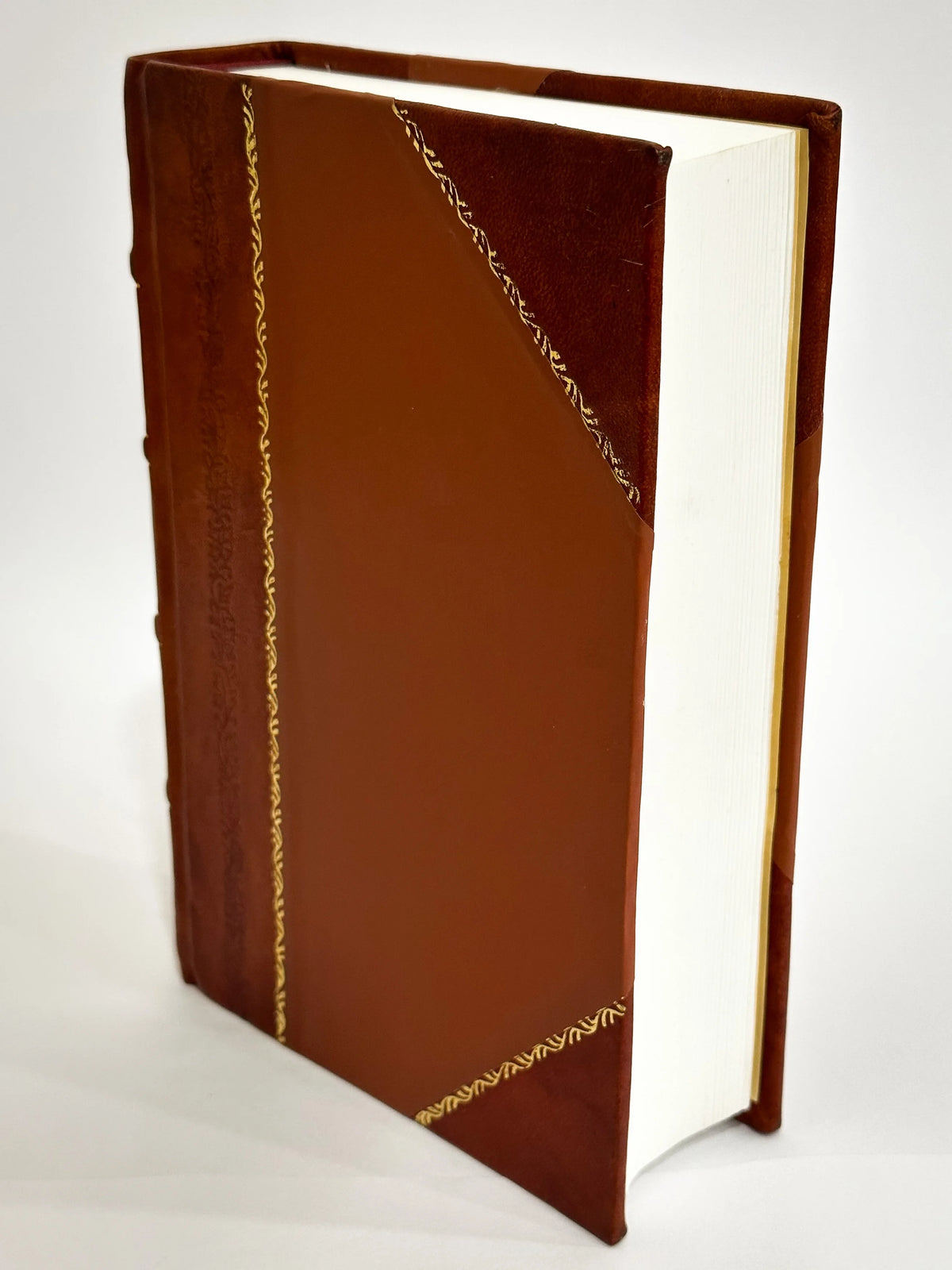 Leather Bound Book Z551