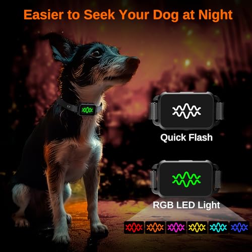 Electric Dog Training Collar with Remote, IPX7 Waterproof V304