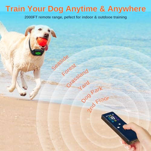 Electric Dog Training Collar with Remote, IPX7 Waterproof V304
