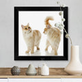 Black Framed Print 16 x 16 A639488