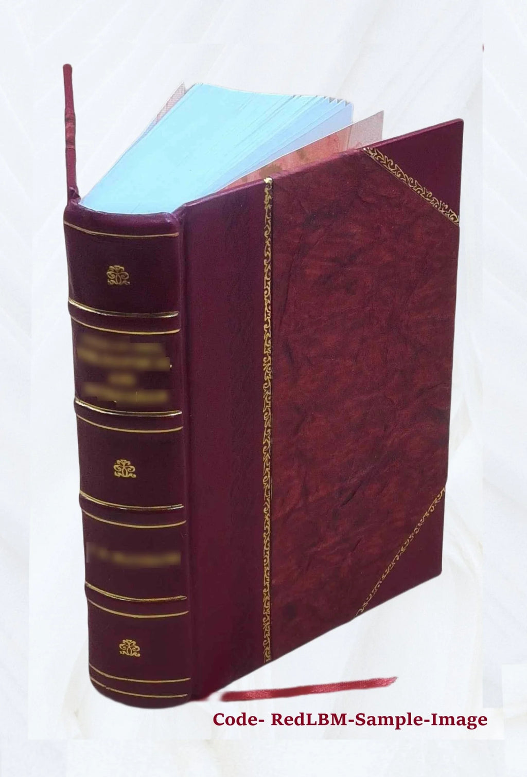 Leather Bound Book O85583