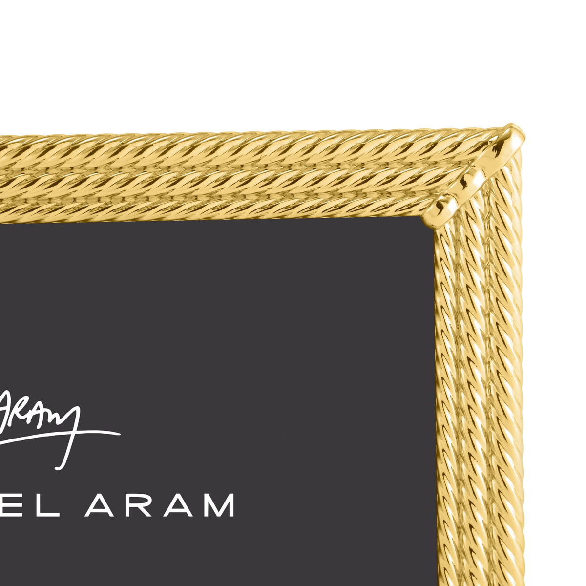 Twist Frame Gold X1462
