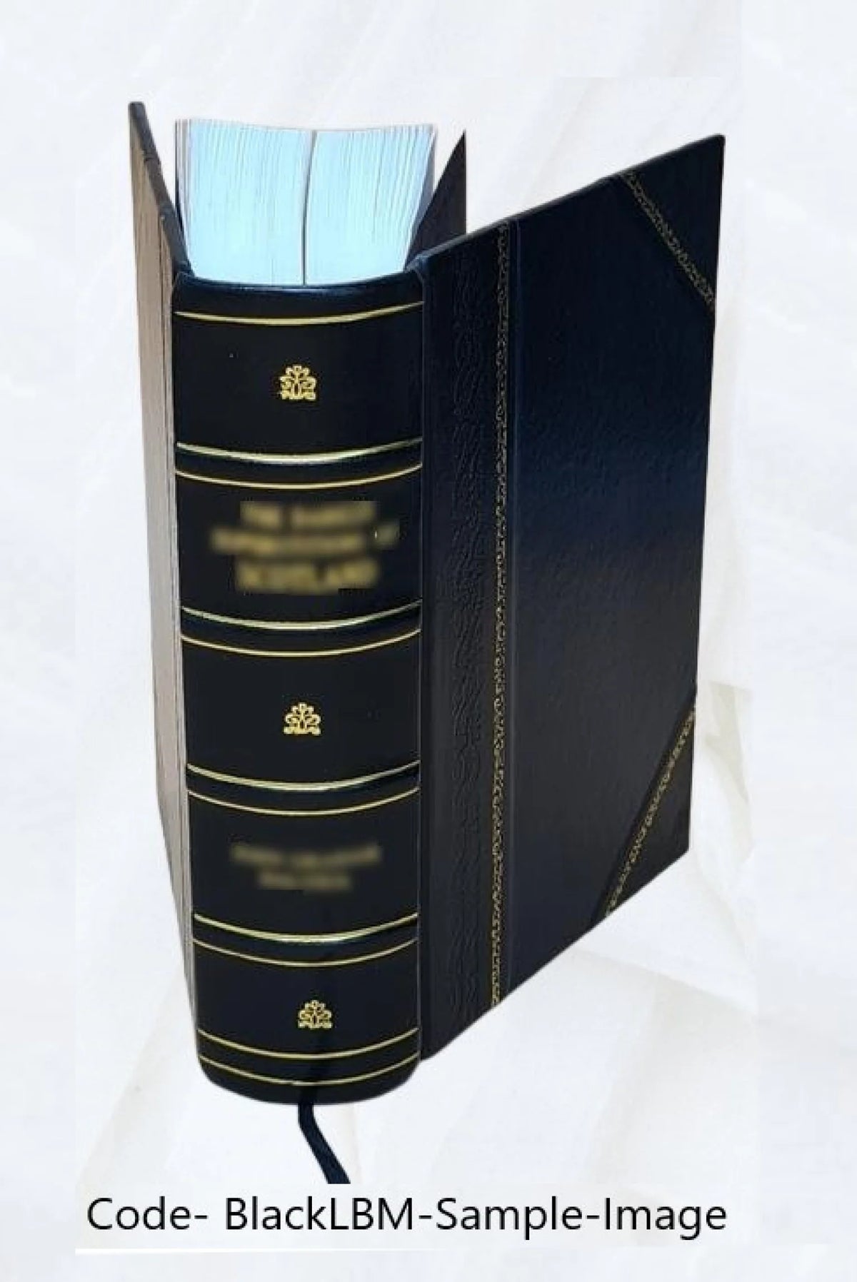 Leather Bound Book O85583