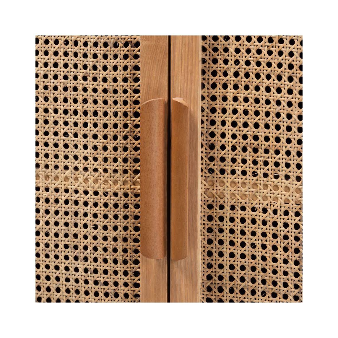 Oak Wood and Rattan 2-Door Accent Storage Cabinet Z27104