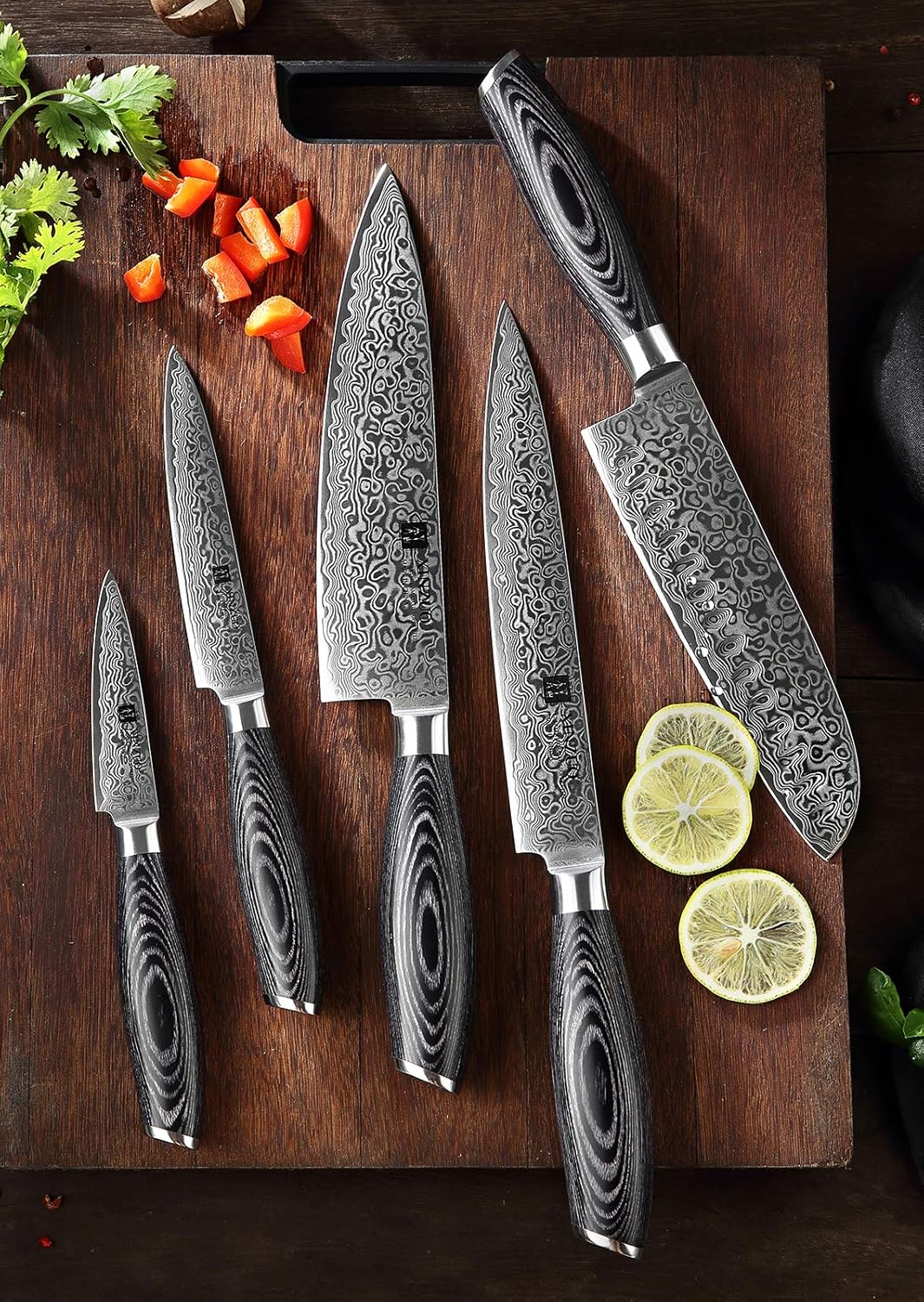 5PC Damascus Steel Kitchen Knife Set with Pakkawood Q255