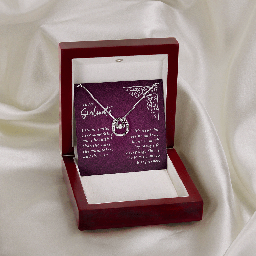 Lucky Horseshoe Necklace Message Card 14k CZ Crystals Y4342