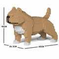 Fawn Medium American Bully Q492