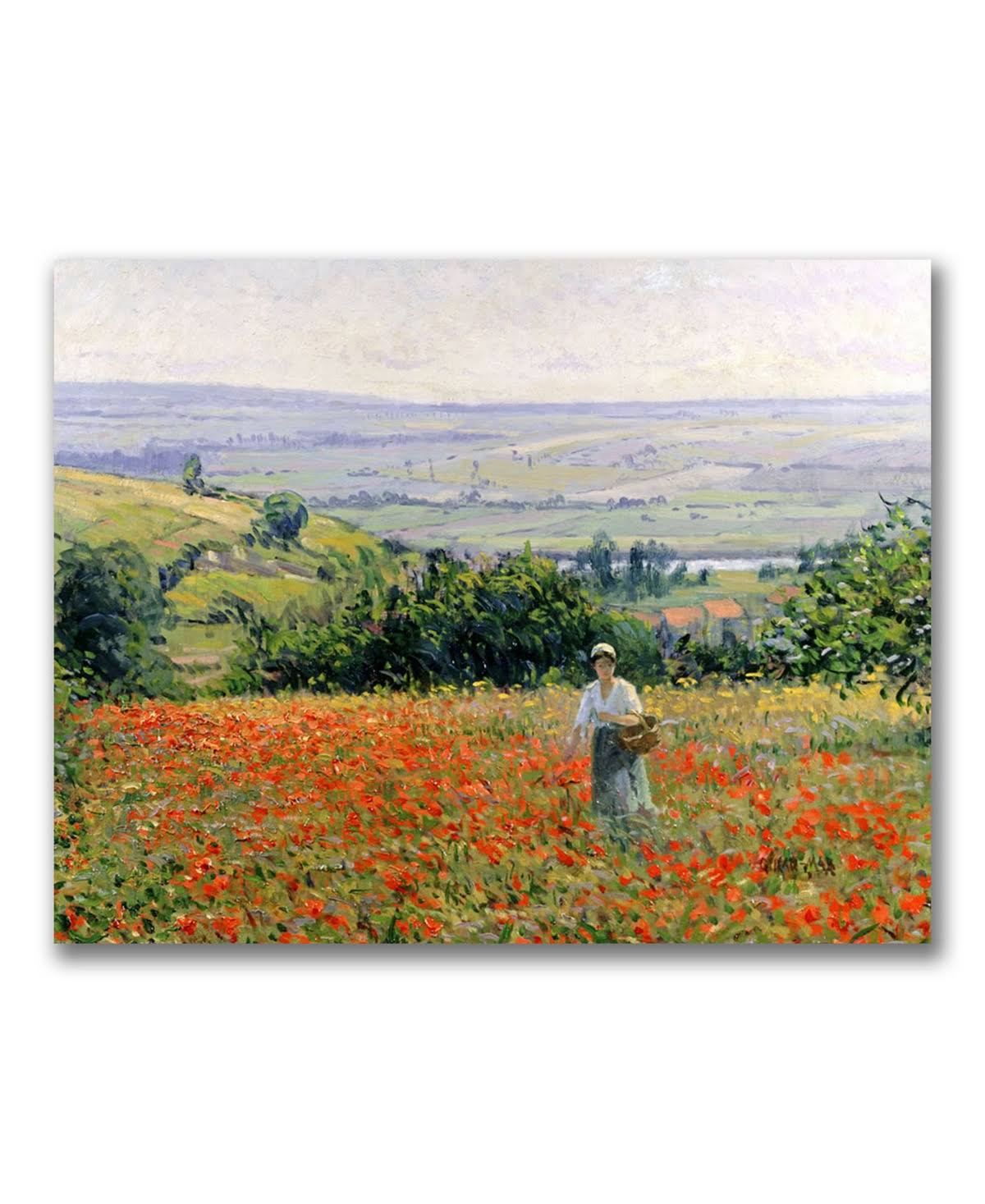 Canvas Art D1895