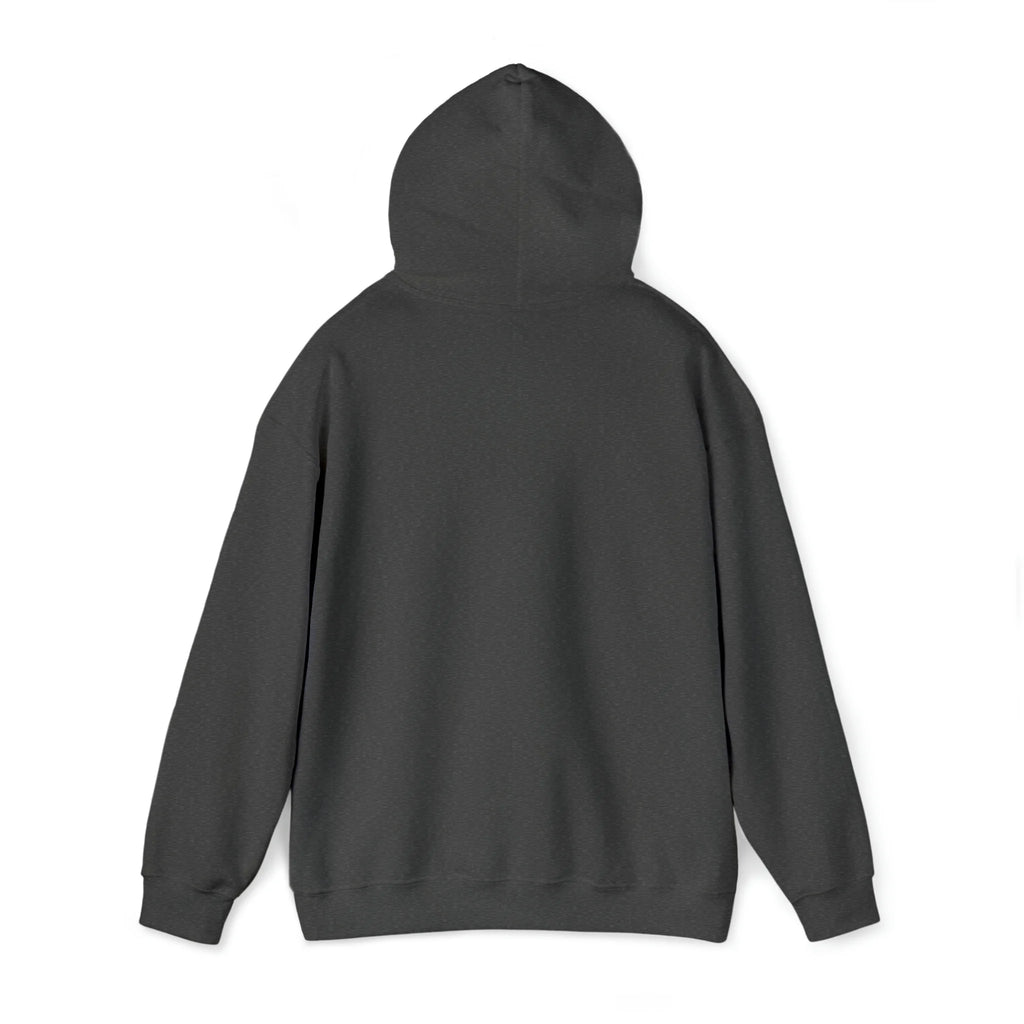 Snorkel Graphic Hoodie Sweatshirt A981829