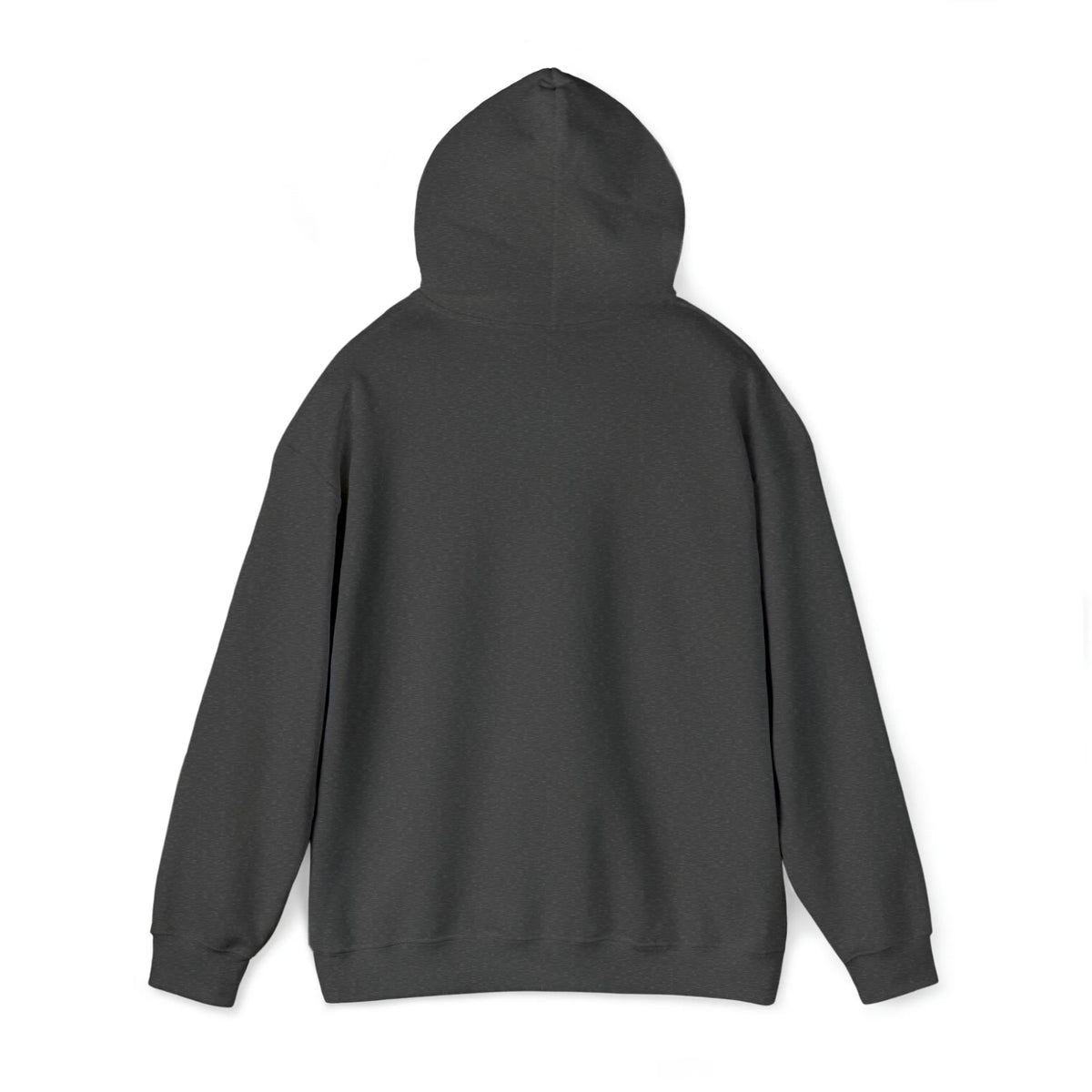 Snorkel Graphic Hoodie Sweatshirt A981829