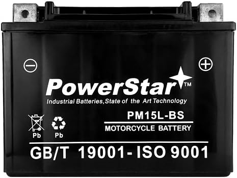 Pack of 2 YTX15L-BS ATV Battery Y6655